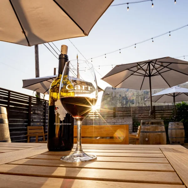 Carr Vineyards & Winery in Santa Barbara, California